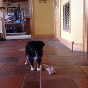 Meet your Posher, Connie